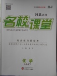 2018年名校課堂九年級化學(xué)下冊人教版河北適用武漢大學(xué)出版社