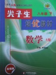 2018年尖子生培優(yōu)教材八年級(jí)數(shù)學(xué)下冊(cè)人教版A版