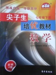2018年尖子生培優教材七年級數學下冊