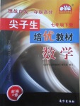 2018年尖子生培優(yōu)教材七年級數(shù)學(xué)下冊