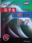 2018年尖子生培優(yōu)教材八年級(jí)數(shù)學(xué)下冊(cè)