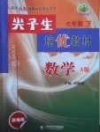 2018年尖子生培优教材七年级数学下册人教版A版