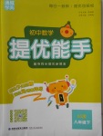 2018年通城學典初中數學提優能手八年級下冊北師大版