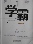 2018年經(jīng)綸學(xué)典學(xué)霸八年級英語下冊人教版