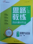 2018年思路教練同步課時(shí)作業(yè)七年級(jí)道德與法治下冊(cè)人教版