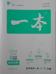 2018年一本初中化學(xué)九年級下冊人教版