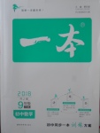 2018年一本初中數(shù)學(xué)九年級(jí)下冊(cè)人教版