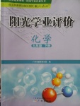 2018年陽(yáng)光學(xué)業(yè)評(píng)價(jià)九年級(jí)化學(xué)下冊(cè)人教版