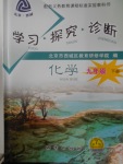 2018年學(xué)習(xí)探究診斷九年級(jí)化學(xué)下冊(cè)