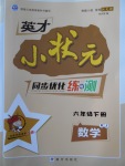 2018年英才小狀元同步優(yōu)化練與測六年級數(shù)學(xué)下冊人教版