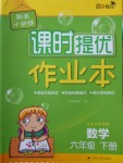 2018年陽光小伙伴課時提優(yōu)作業(yè)本六年級數(shù)學(xué)下冊江蘇版