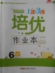 2018年小學(xué)生1課3練培優(yōu)作業(yè)本六年級(jí)語文下冊(cè)人教版