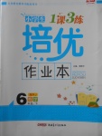 2018年小學(xué)生1課3練培優(yōu)作業(yè)本六年級(jí)數(shù)學(xué)下冊(cè)人教版