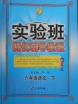 2018年實(shí)驗(yàn)班提優(yōu)輔導(dǎo)教程六年級(jí)語文下冊