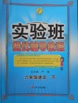 2018年實驗班提優(yōu)輔導(dǎo)教程六年級語文下冊