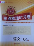 2018年王朝霞考點(diǎn)梳理時習(xí)卷六年級語文下冊語文S版