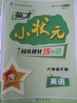 2018年英才小狀元同步優(yōu)化練與測六年級英語下冊人教PEP版