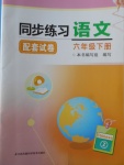 2018年同步練習(xí)配套試卷六年級語文下冊江蘇鳳凰科學(xué)技術(shù)出版社