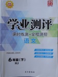 2018年學(xué)業(yè)測評課時(shí)練測加全程測控六年級語文下冊人教版