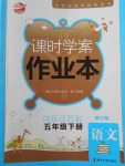 2018年金鑰匙課時學案作業本五年級語文下冊江蘇版