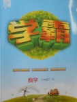 2018年經(jīng)綸學(xué)典學(xué)霸六年級(jí)數(shù)學(xué)下冊(cè)北師大版