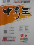 2018年鴻鵠志文化河北中考命題研究中考王語(yǔ)文