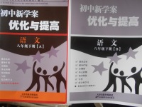 2018年初中新學(xué)案優(yōu)化與提高八年級(jí)語文下冊