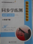 2018年海淀名師伴你學(xué)同步學(xué)練測八年級道德與法治下冊