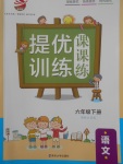 2018年金鑰匙提優(yōu)訓(xùn)練課課練六年級語文下冊江蘇版