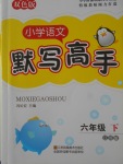 2018年小學(xué)語(yǔ)文默寫高手六年級(jí)下冊(cè)江蘇版江蘇鳳凰美術(shù)出版社