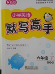 2018年小學(xué)英語默寫高手六年級下冊江蘇版江蘇鳳凰美術(shù)出版社