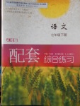 2018年語文配套綜合練習(xí)七年級(jí)下冊人教版甘肅少年兒童出版社