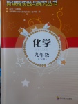 2018年新課程實踐與探究叢書九年級化學(xué)下冊人教版