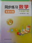 2018年同步练习配套试卷六年级数学下册江苏凤凰科学技术出版社