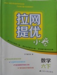 2018年拉網(wǎng)提優(yōu)小卷六年級數(shù)學下冊