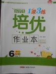 2018年小學生1課3練培優(yōu)作業(yè)本六年級語文下冊江蘇版