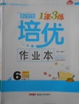 2018年小學(xué)生1課3練培優(yōu)作業(yè)本六年級(jí)數(shù)學(xué)下冊(cè)江蘇版