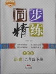 2018年名師小課堂同步精練九年級歷史下冊人教版