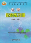 2018年化學配套練習冊九年級下冊五四制山東教育出版社