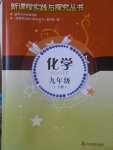 2018年新课程实践与探究丛书九年级化学下册鲁教版