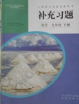 2018年補充習題九年級化學下冊人教版人民教育出版社