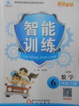 2018年激活思維智能訓練六年級數(shù)學下冊人教版