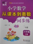 2018年小學(xué)數(shù)學(xué)從課本到奧數(shù)同步練六年級下冊人教版雙色版