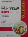 2018年海淀名師伴你學(xué)同步學(xué)練測(cè)六年級(jí)英語(yǔ)下冊(cè)