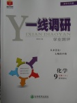 2018年一線調(diào)研學業(yè)測評九年級化學下冊人教版