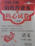 2018年名校名師培優(yōu)作業(yè)本加核心試卷六年級(jí)語(yǔ)文下冊(cè)人教版