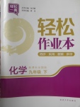 2018年輕松作業(yè)本九年級化學(xué)下冊全國版