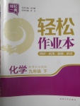 2018年輕松作業(yè)本九年級化學下冊全國版