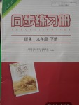 2018年同步練習冊九年級語文下冊人教版人民教育出版社