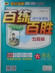 2018年世紀(jì)金榜百練百勝六年級(jí)語(yǔ)文下冊(cè)魯教版五四制